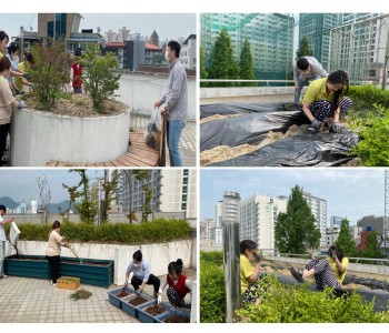 [옥상텃밭] 옥상으로 따라와~! 이미지